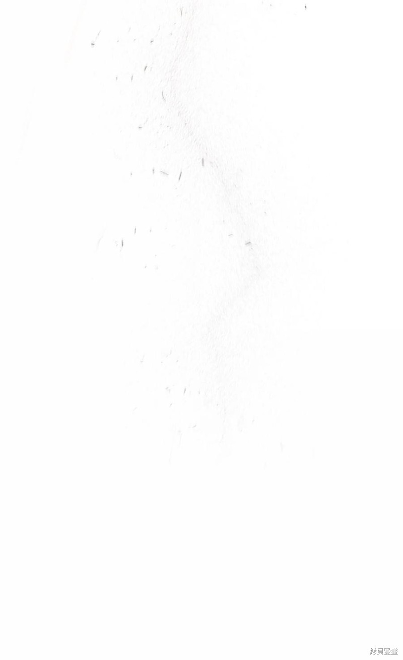65.jpg
